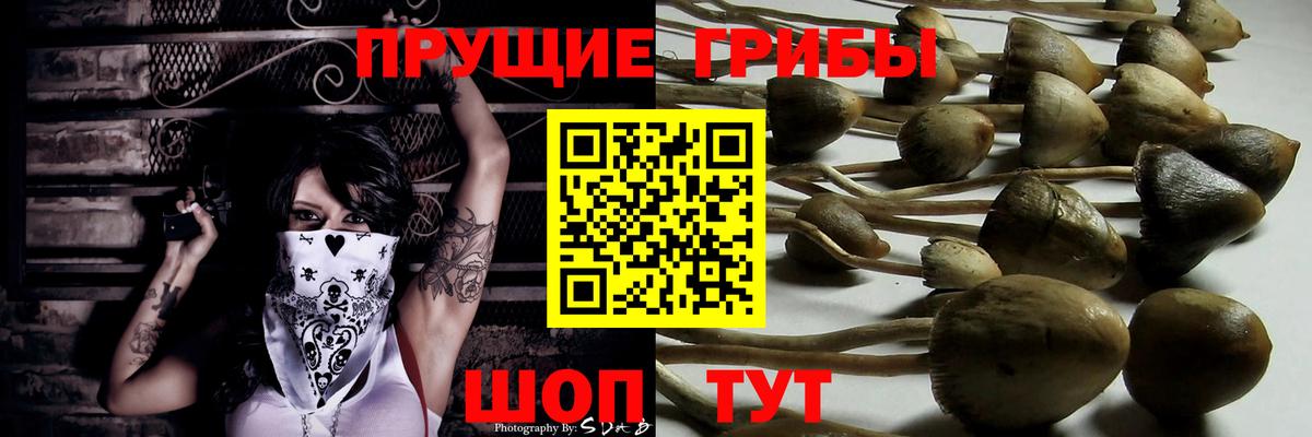 Галлюциногенные грибы ЛСД  Вход с VPN  Майкоп 